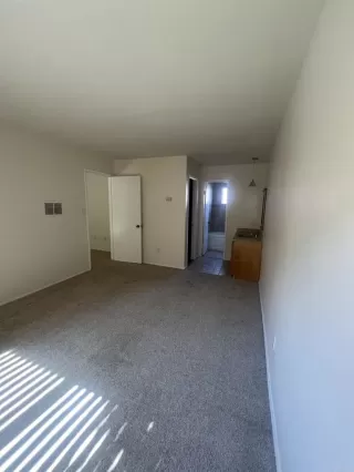 Photo #4: PTP2303535 Listing