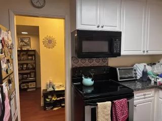 Photo #1: PTP2303592 Listing