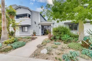 Photo #1: PTP2303618 Listing