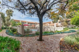 Photo #3: PTP2303799 Listing