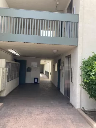 Photo #2: PTP2303920 Listing