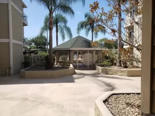 Photo #2: PTP2303928 Listing