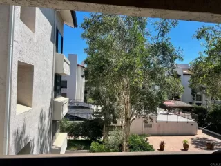 Photo #5: PTP2304203 Listing 