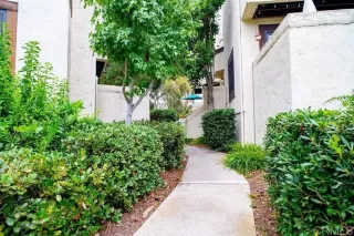 Photo #2: PTP2304350 Listing