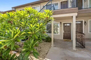 Photo #1: PTP2304373 Listing