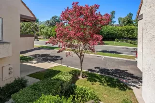 Photo #3: PTP2304475 Listing