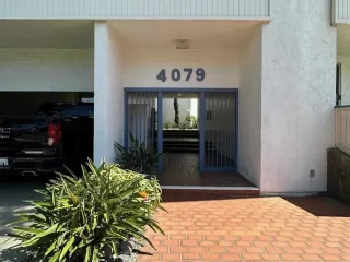 Photo #1: PTP2304730 Listing