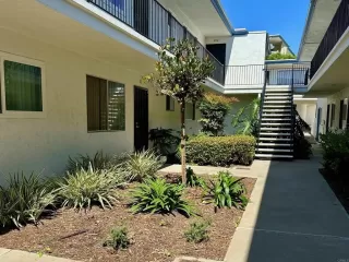 Photo #5: PTP2304730 Listing