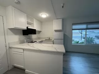 Photo #1: PTP2304864 Listing