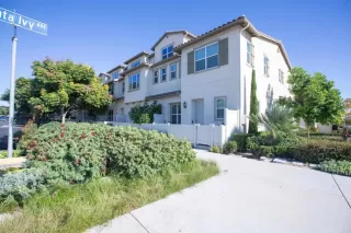 Photo #1: PTP2304984 Listing