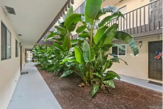 Photo #1: PTP2305001 Listing