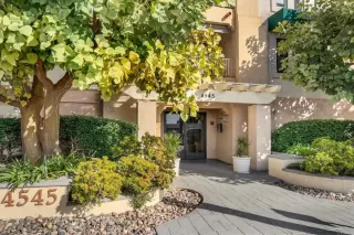 Photo #1: PTP2305269 Listing