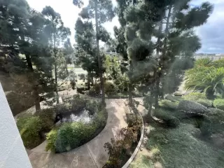 Photo #4: PTP2305534 Listing