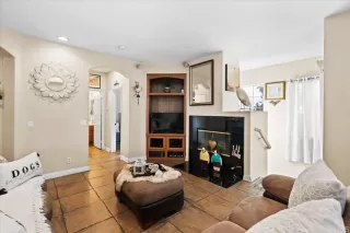 Photo #1: PTP2305603 Listing