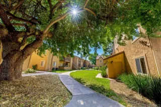 Photo #2: PTP2305832 Listing 