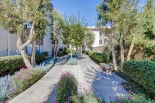 Photo #2: PTP2305858 Listing 