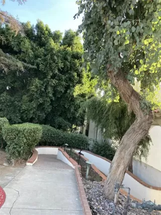 Photo #1: PTP2306057 Listing