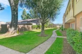 Photo #2: PTP2400058 Listing 