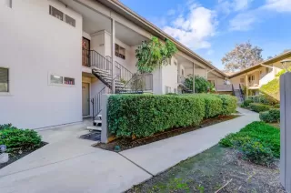 Photo #1: PTP2400438 Listing