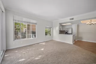 Photo #5: PTP2400603 Listing