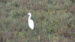 Photo #6: PTP2400963 Listing 