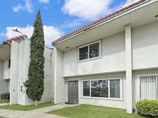Photo #1: PTP2401113 Listing