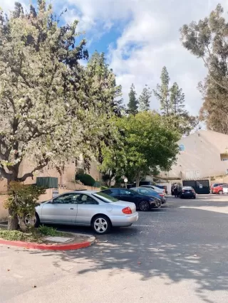 Photo #1: PTP2401216 Listing 