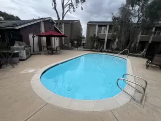 Photo #2: PTP2401462 Listing 