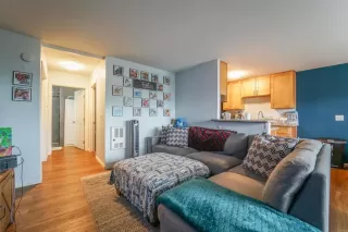 Photo #3: PTP2401544 Listing 