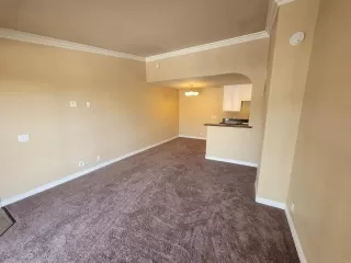 Photo #1: PTP2401668 Listing 