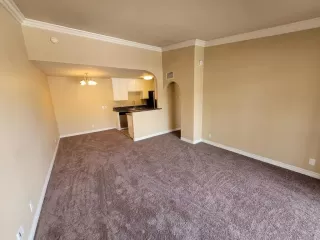 Photo #2: PTP2401668 Listing 