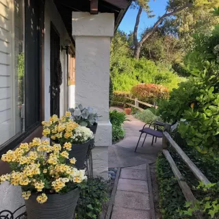 Photo #1: PTP2401762 Listing 