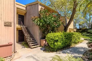 Photo #1: PTP2401835 Listing