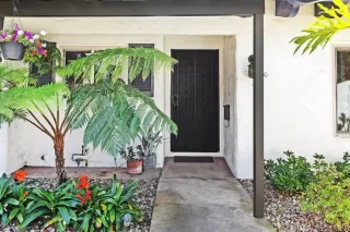 Photo #1: PTP2402002 Listing 