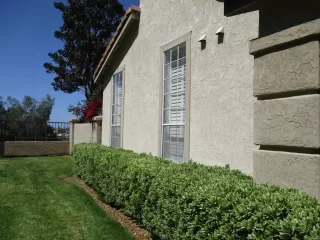 Photo #2: PTP2402012 Listing