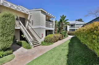 Photo #1: PTP2402038 Listing