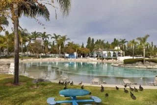 Photo #2: PTP2402237 Listing 