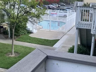 Photo #2: PTP2402332 Listing 