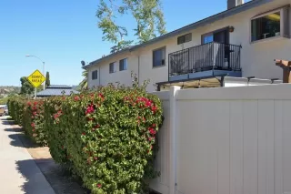 Photo #1: PTP2402365 Listing