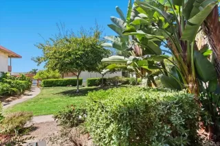 Photo #2: PTP2402493 Listing