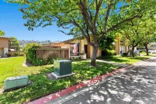 Photo #1: PTP2402494 Listing 