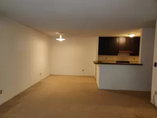 Photo #2: PTP2402558 Listing 