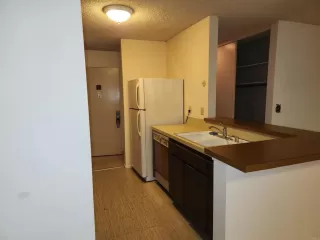 Photo #5: PTP2402558 Listing 