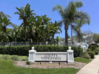 Photo #1: PTP2402944 Listing