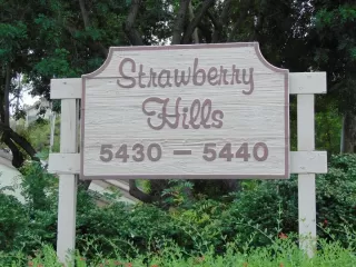 Photo #1: PTP2402998 Listing