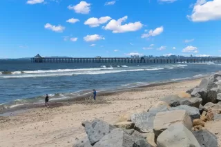 Photo #3: PTP2403007 Listing