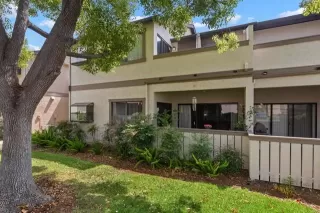 Photo #3: PTP2403042 Listing 