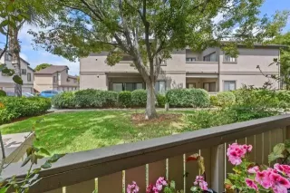 Photo #5: PTP2403042 Listing 