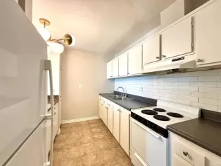 Photo #2: PTP2403071 Listing 