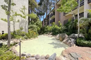 Photo #4: PTP2403198 Listing 